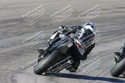 media/Feb-04-2024-SoCal Trackdays (Sun) [[91d6515b1d]]/4-Bowl Backside (11am)/